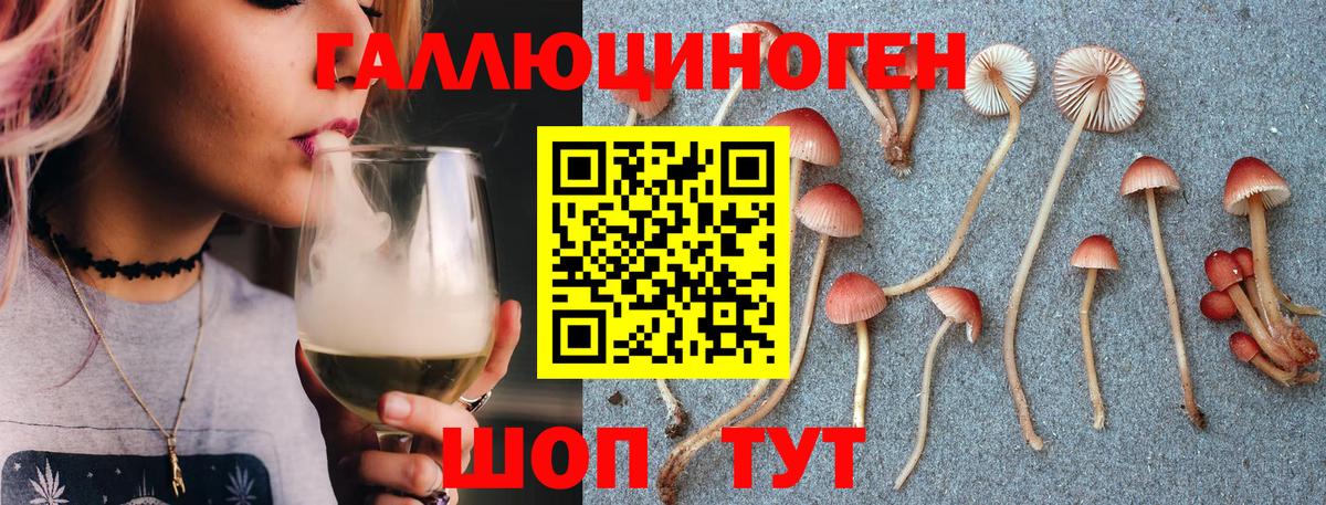 Псилоцибиновые грибы Magic Shrooms  Галлюциногенные грибы мухоморы  Канаш  Вход с VPN 