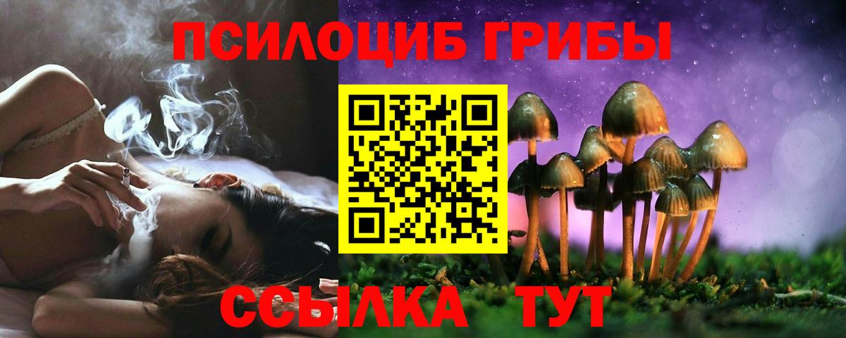 Галлюциногенные грибы Cubensis Канаш